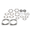 VertexWinderosa Professional Complete Gasket Sets with Oil Seals Fits Arctic cat - 09-711063 - 287124