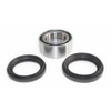 EPI Wheel Bearing & Seal Kit - 295015