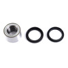 Kimpex HD Wheel Bearing & Seal Kit - 326145