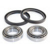EPI Wheel Bearing & Seal Kit - 295254
