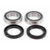 EPI Wheel Bearing & Seal Kit - 295255