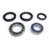 EPI Wheel Bearing & Seal Kit - 295256