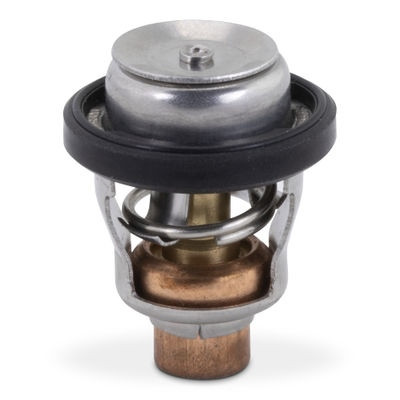 Sierra Thermostat 18-3684 18-3684 - 791415