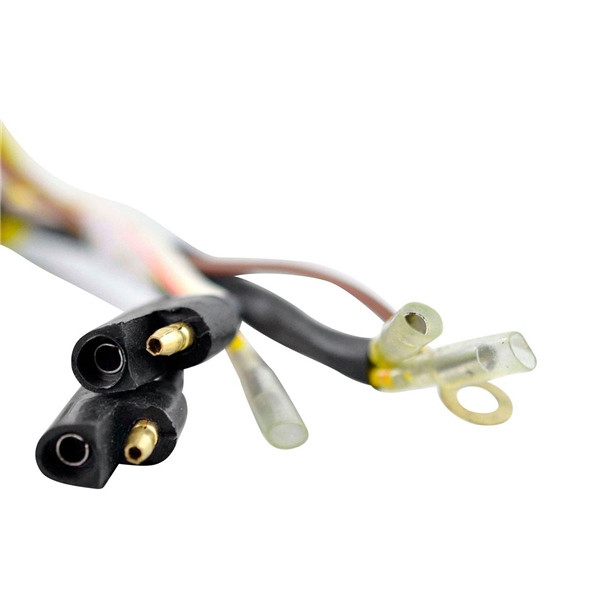 Kimpex HD Flywheel and stator Fits Polaris - 345066 - 345066