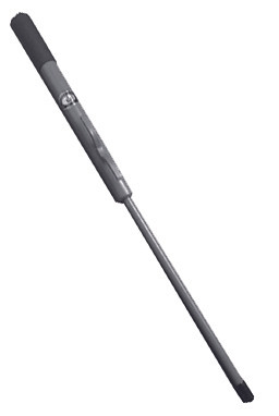 Greenfield Beach Spike - 706439