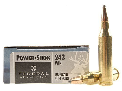 Federal 243 WIN 100gr Power-Shok 20 Rds