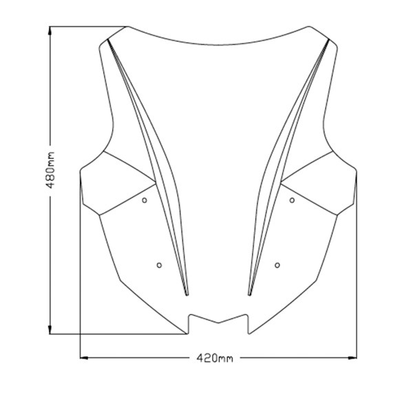 Puig Z-Racing Windshield KAWASAKI - 361067
