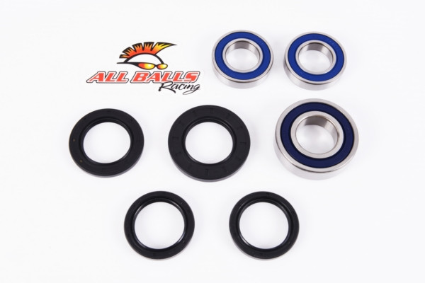 All Balls Wheel Bearing & Seal Kit - 206972