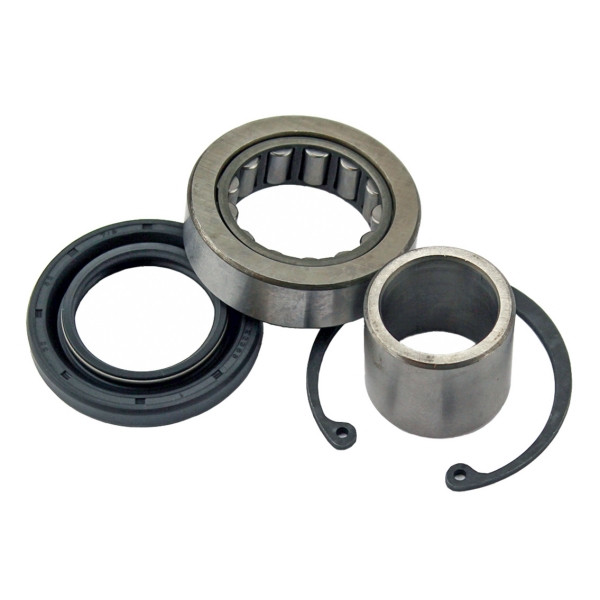 All Balls Crankshaft Bearing and Seal Kit Fits Harley-Davidson - Dirt bikes - 209451