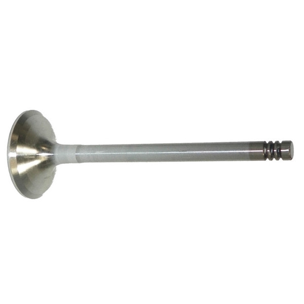 WSM Exhaust Valve - 797392