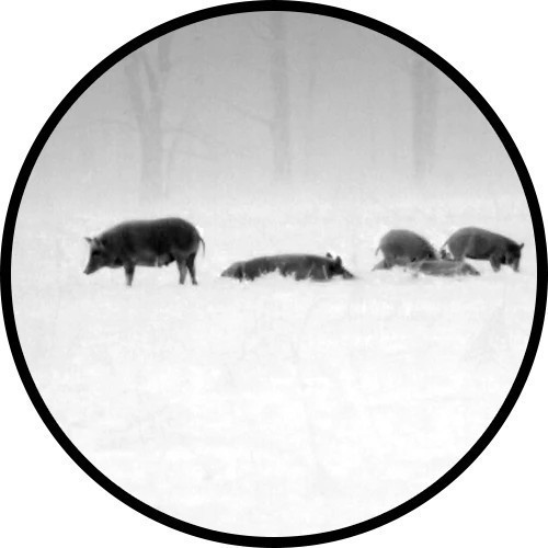 ATN BlazeHunter 4-32x 384×288 Thermal Monocular with LRF