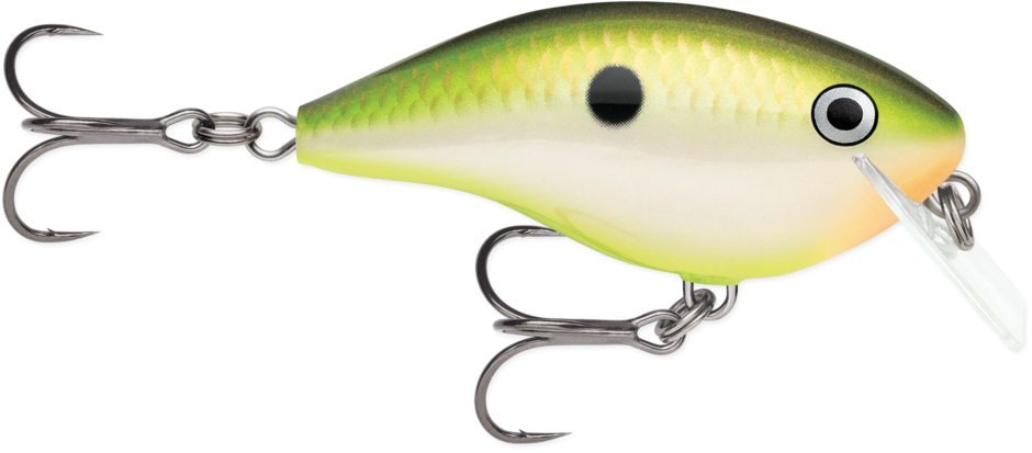 Rapala OG Big Rocco Crankbait, 2.75", 6', Bruised Citrus Shad