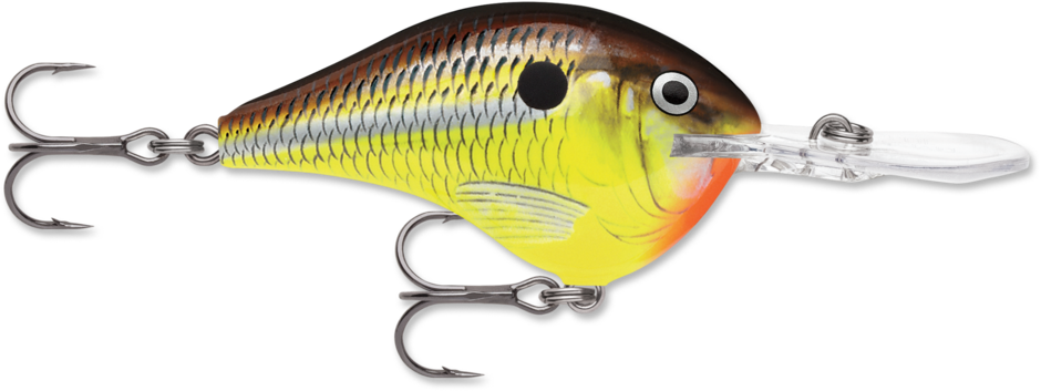 Rapala Dives-To Series Crankbait, 2.25", 10', Hot Mustard