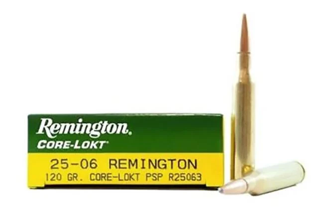 Remington Core-Lokt .25-06 Remington 120 Grain PSP Ammunition, 20 Rounds