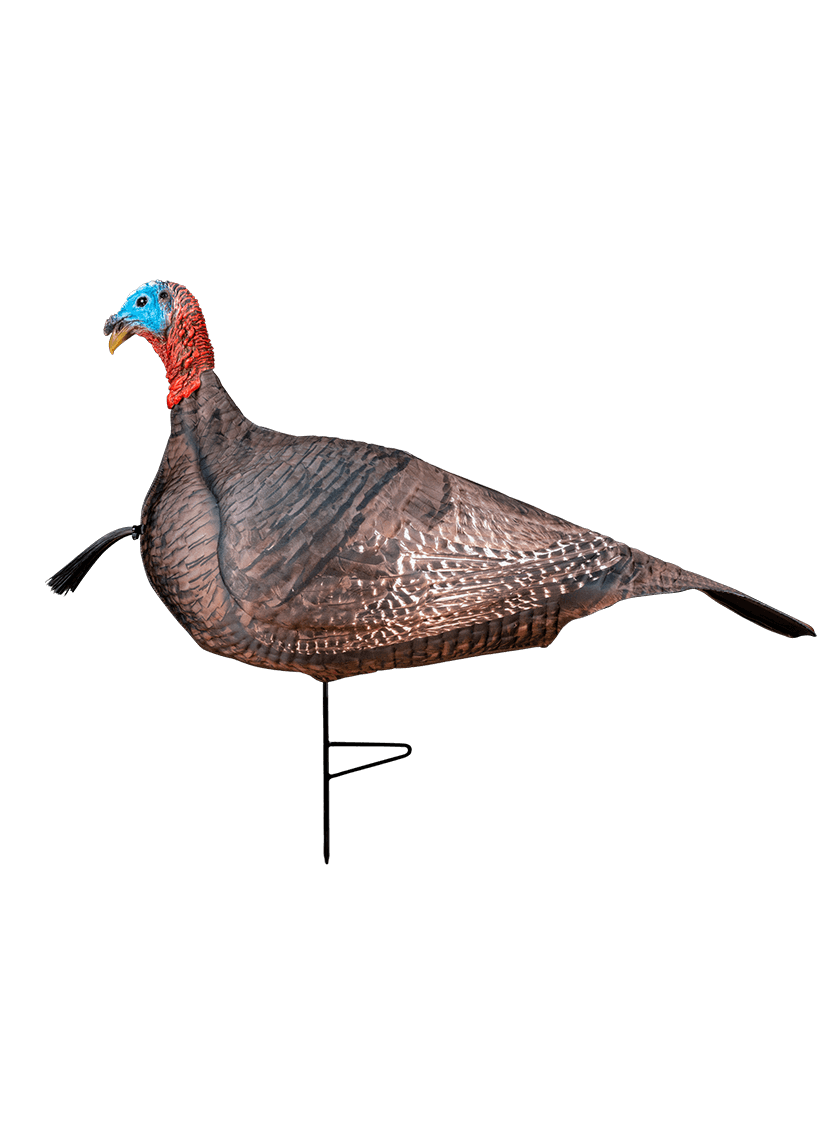 Primos Photoform Jake Turkey Decoy