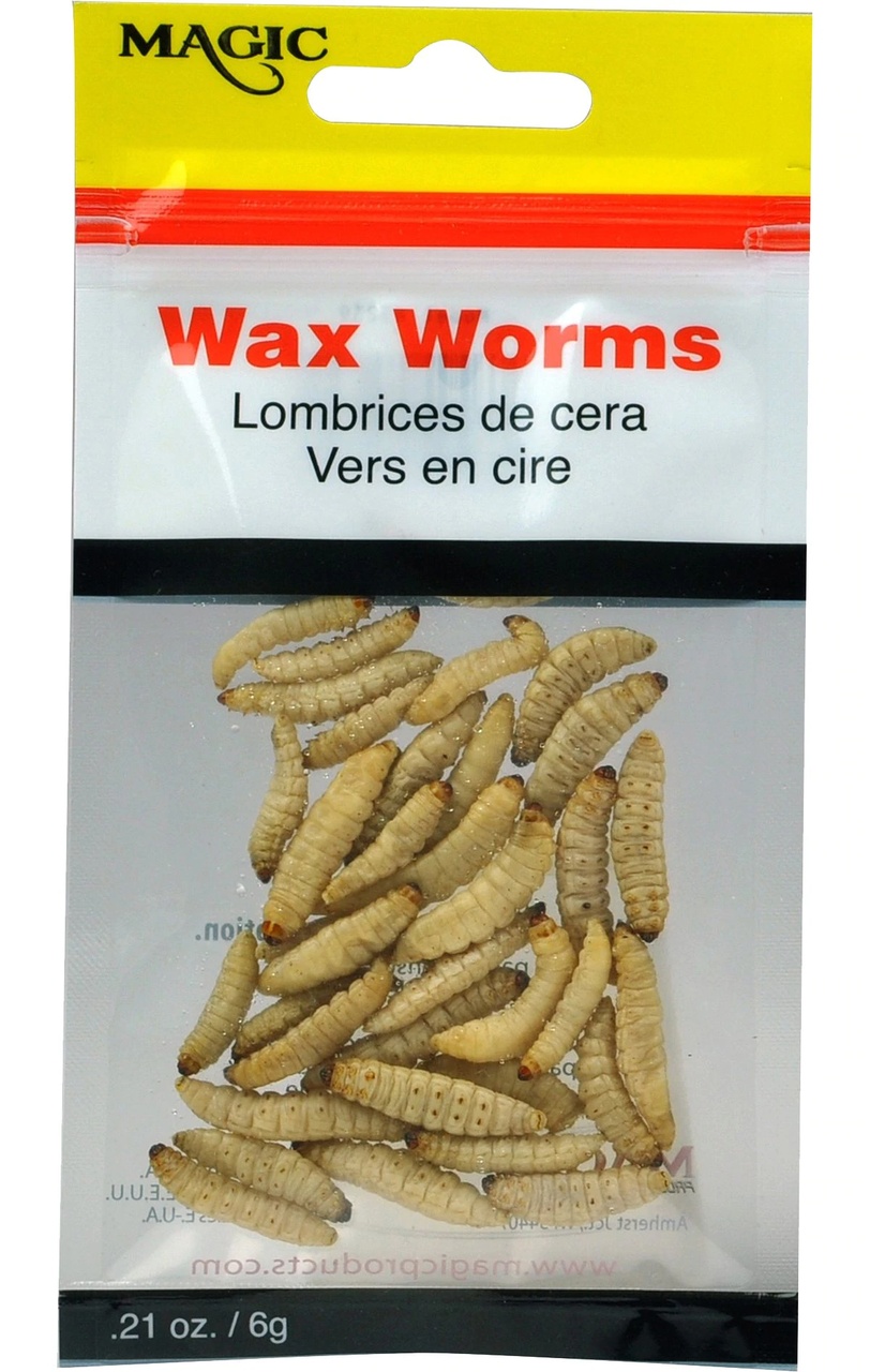 Magic Products Preserved Wax Worms, 5.9 Grams, Natural