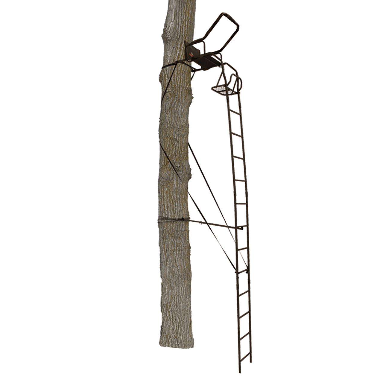 Big Game Warrior DXT 17' Tree Ladderstand