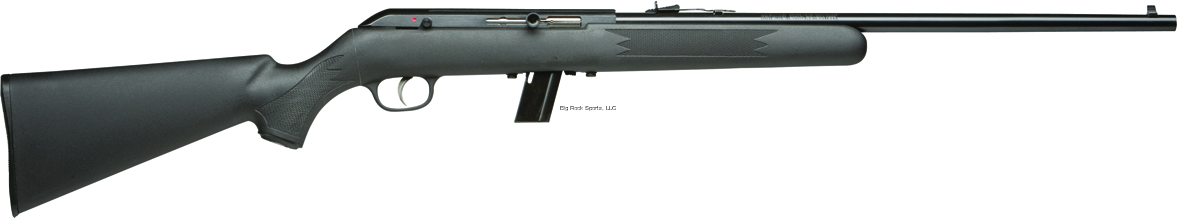 Savage Model 64F 22LR Semi Auto, 21" Barrel, Black