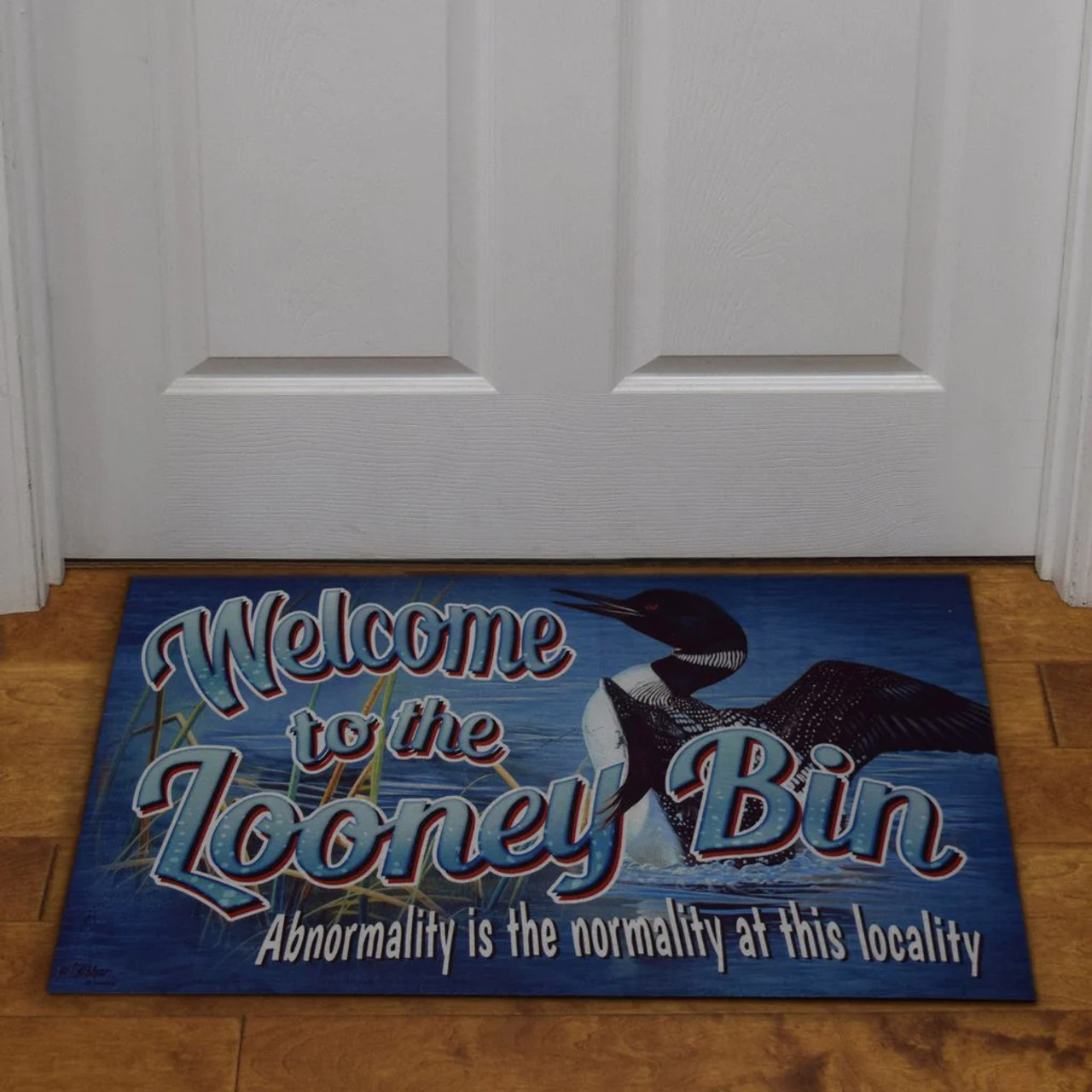 Rivers Edge Looney Bin Door Mat, 26" x 17"