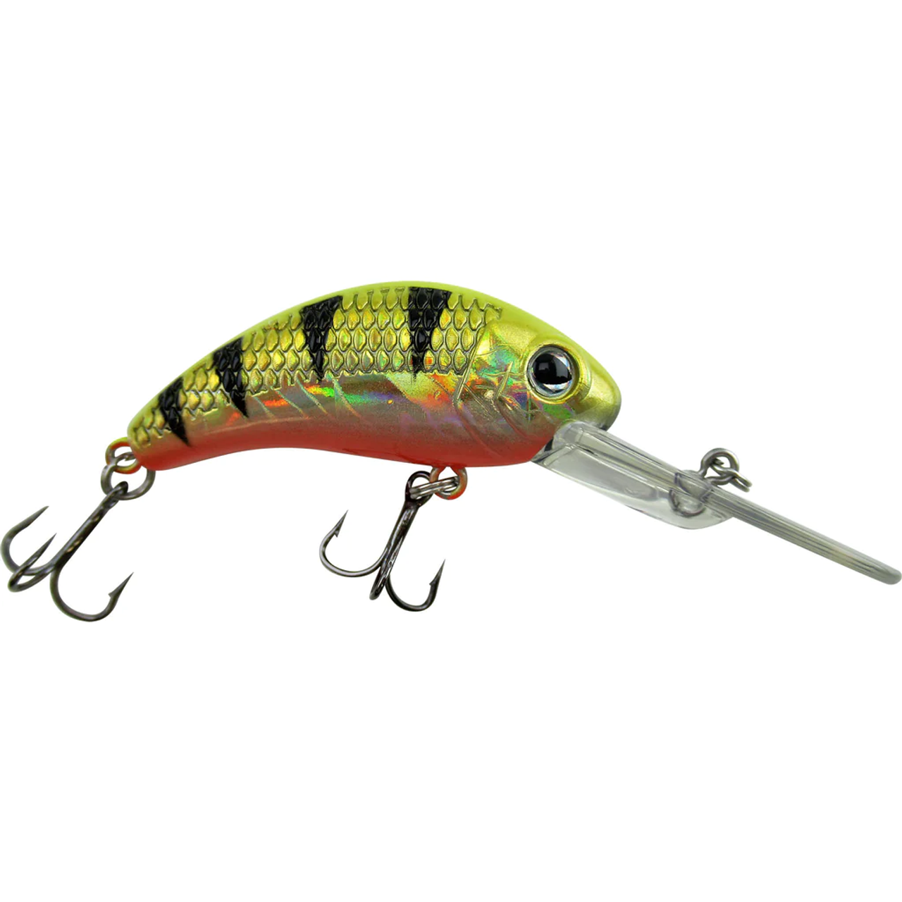Walleye Nation Creations Boogie Shad, Banana Style Crankbait, Size 2", 17' Diving depth, Goldaliscious