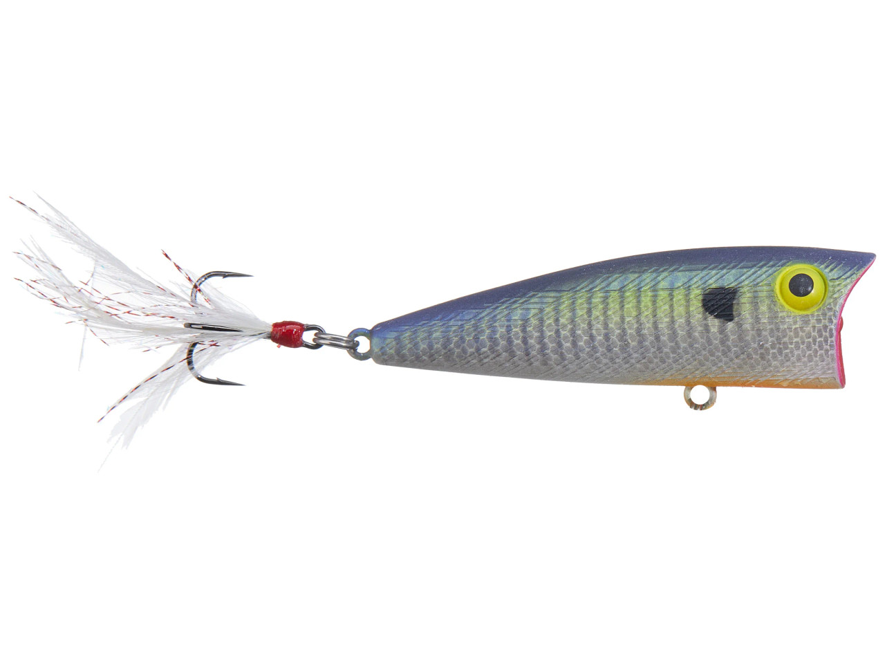 Rebel P71 Pop-R Topwater Popper, Blue Gil