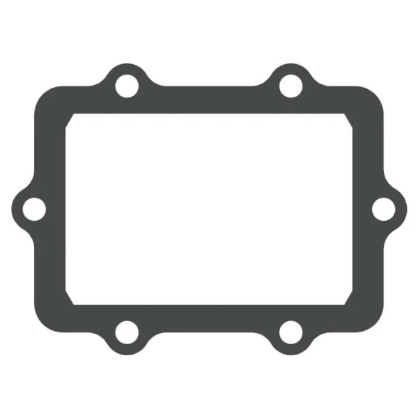 VForce Petal Gasket SKI-DOO - 017821