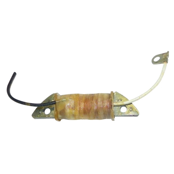 WSM Charge Coil - 796137