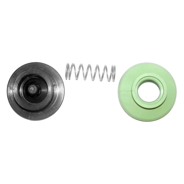 WSM Power Valve Rebuild Kit - 797720