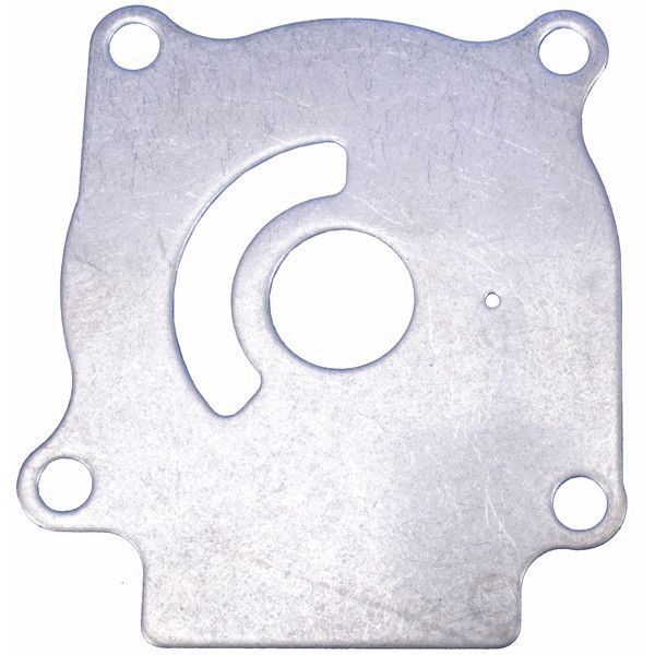 BRP Evinrude Plate - 824223