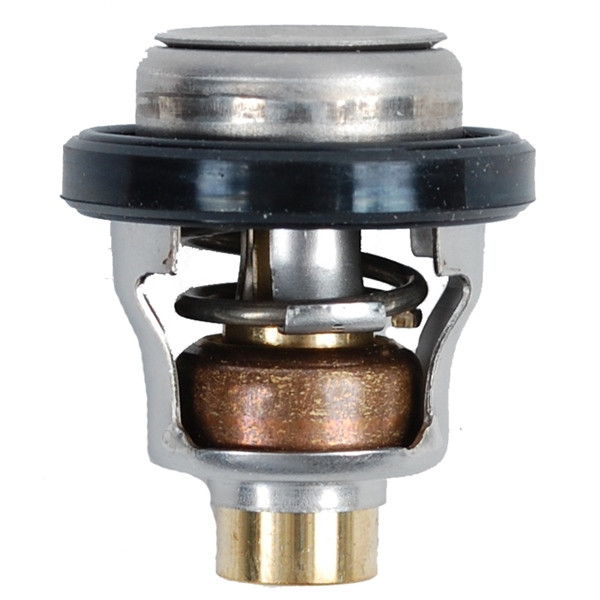 BRP Evinrude Thermosthat 60 - 822136