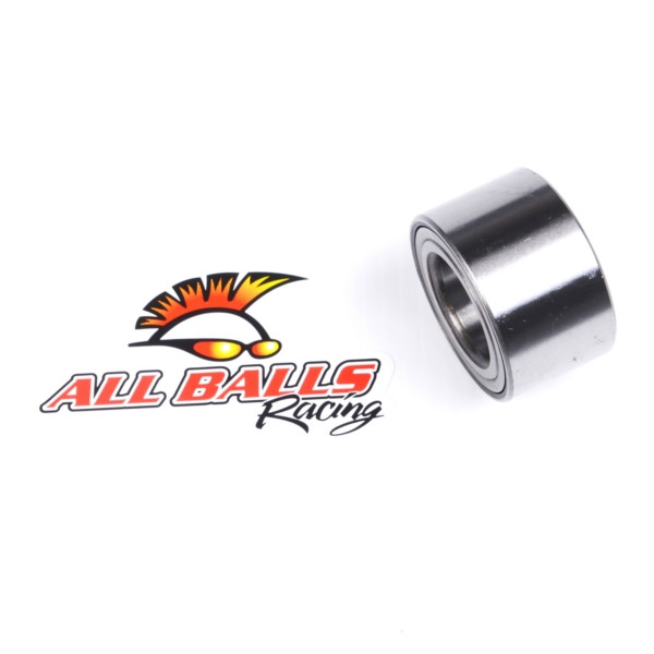 All Balls Wheel Bearing & Seal Kit - 206124