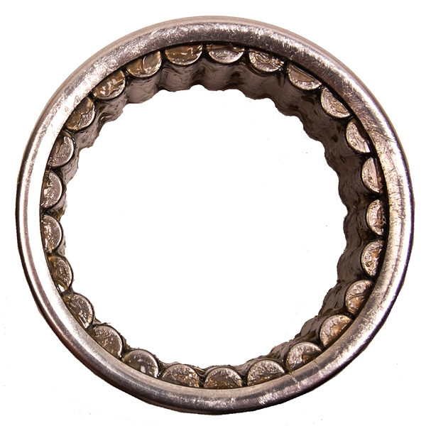 BRP Evinrude Forward Gear Bearing - 822326