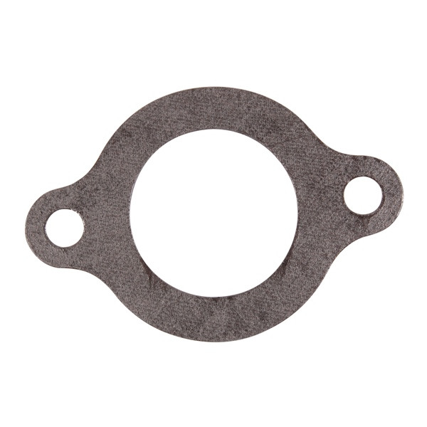 BRP Evinrude Thermostat Gasket 821400 - 821400