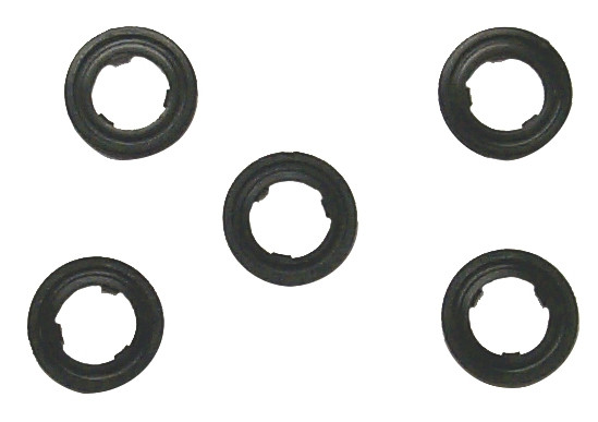 Sierra Drain Plug Gasket Kit 09168-10022 - 717366