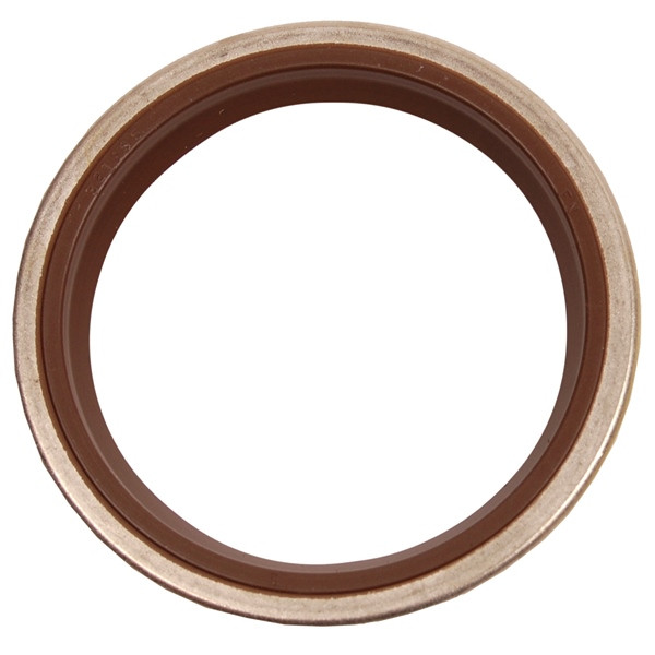 BRP Evinrude Crankshaft Seal 822009 - 822009