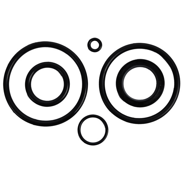 BRP Evinrude Tilt Cylinder O-Ring Kit Fits Johnson/Evinrude, Fits OMC - 823255