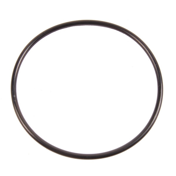 BRP Evinrude O-ring - 823183