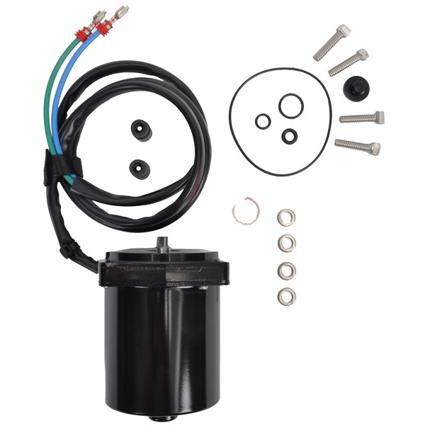 BRP Evinrude Motor and O-Ring - 822981