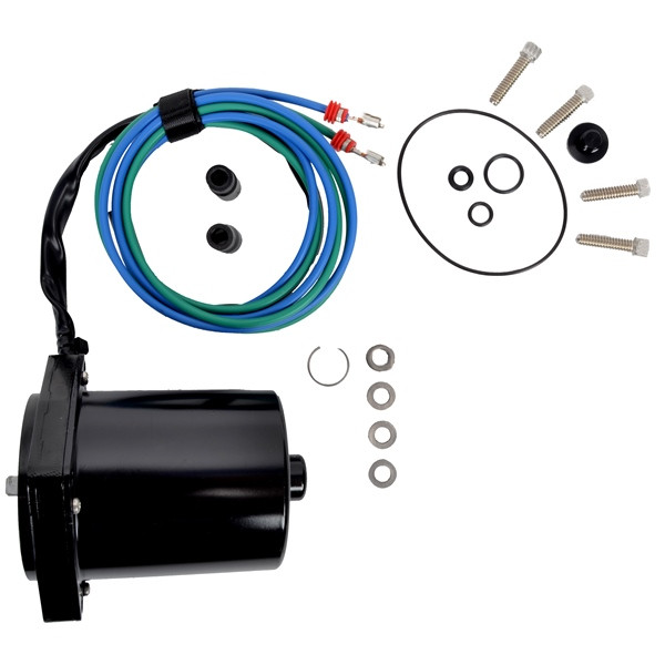 BRP Evinrude Motor and O-Ring Kit - 821757