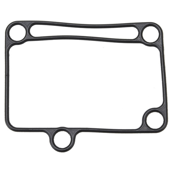 BRP Evinrude Vapor Separator Seal - 821973