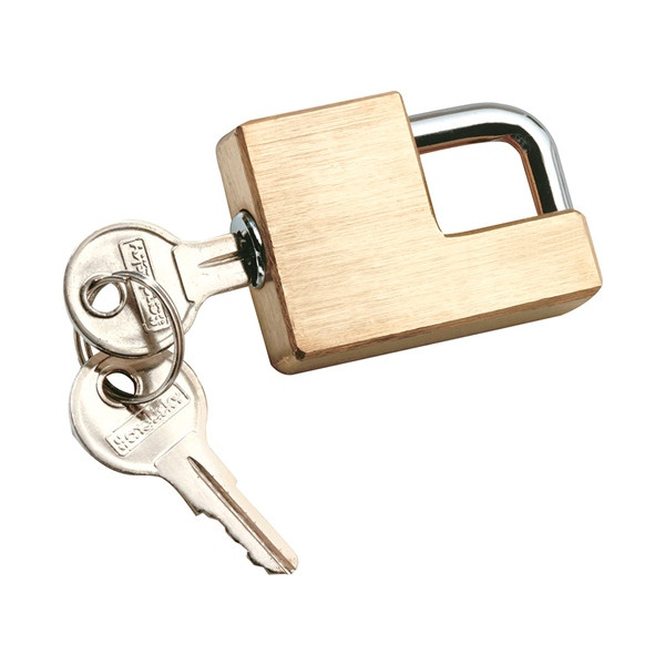 REESE TOWPOWER Trailer Hitch Coupler Lock - 746184