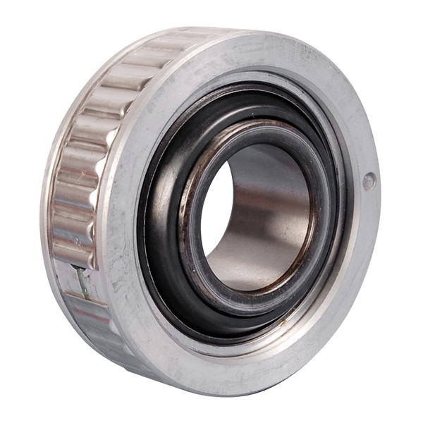 BRP Evinrude Bearings - 821029