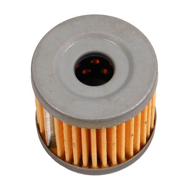 BRP Evinrude Oil Filter - 823126