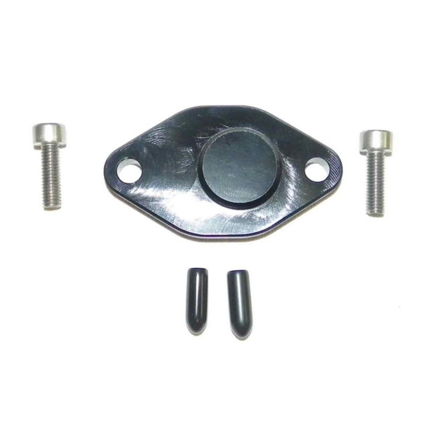 WSM Oil Injection Block Off Plate - 798660