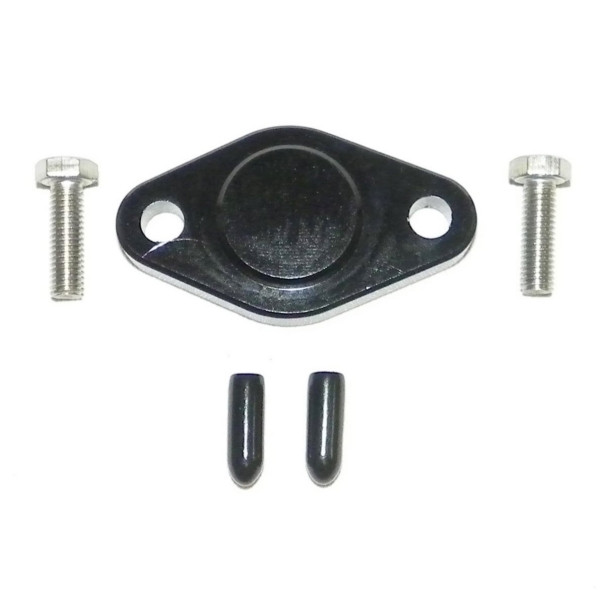 WSM Oil Injection Block Off Plate - 798663