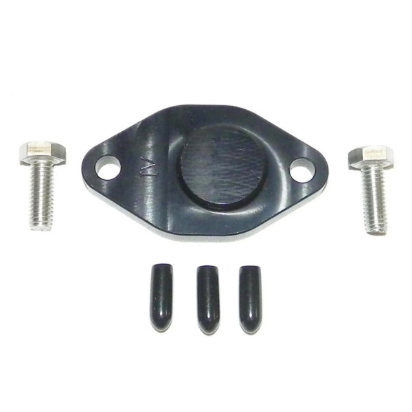 WSM Oil Injection Block Off Plate - 798664