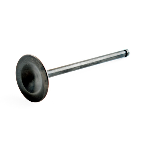 WSM Intake Valve Fits Sea-doo - 794070