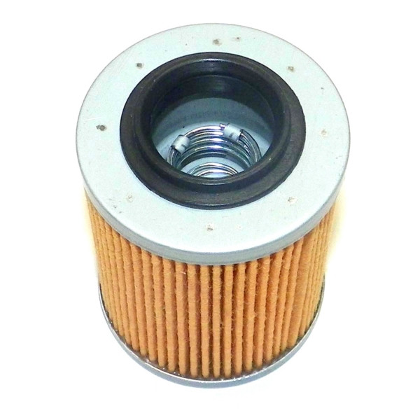 WSM Oil Filter - 796305