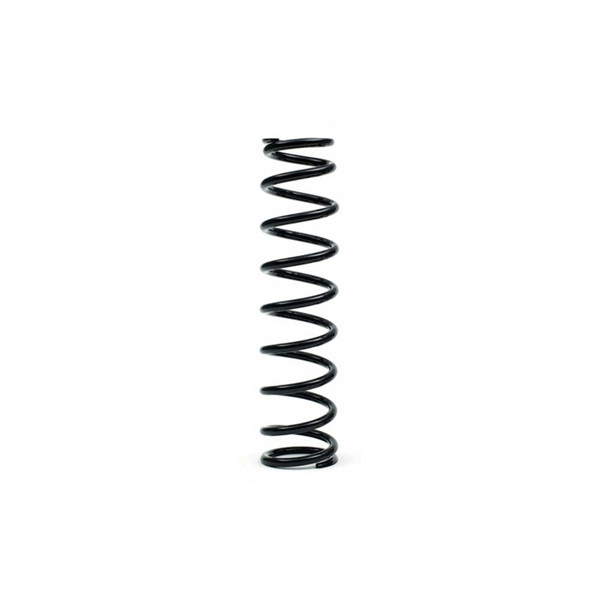 EPI Suspension Spring - 394666