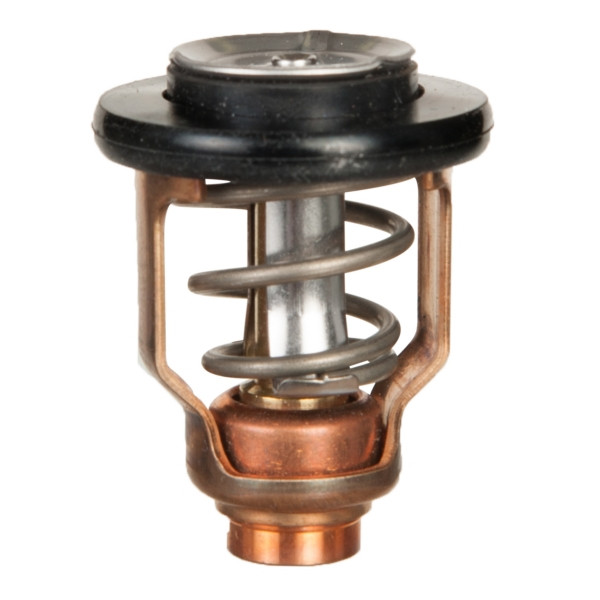Sierra Thermostat 67F-12411-01-00 - 732946